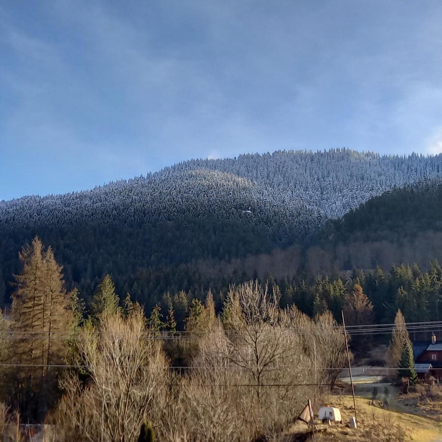 Dovolenkovy Dom Pupava Vila Terchová Exterior foto